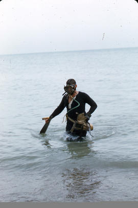 Diver