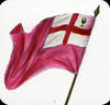 Flag : St George's cross (Colonial American?)
