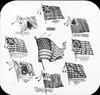 Flag : Origins of United States flag