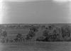 Skokie Meadows from Mario's house