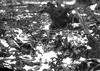 Skunk Cabbage in snow