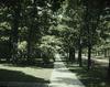 Boulevard