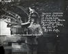Battle rooster of the Sultan Calahiu captured From Fort Calahiu April 9, 1903 by Company "F&...