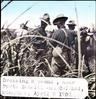 Dressing a wound, near Forts Bacolod and Calahui, Mindanae : April 9,1903