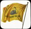 Flag : Don't tread on me