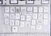 May Arrivals : Wall Display ; Bird Photos