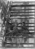 Robin and Young on Fire Escape (2)