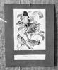 Cardinal ; Grosbeak, Rose-breasted;Tragopan Pheucticus ludovicianus ; Pipilo erythropthalmus ; Ri...