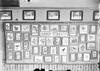 Summer residents : Wall display ; bird photos