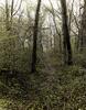 Unidentified wooded scene