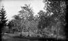 3 children sitting in grass by a fence and tree line