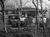 Frank Lloyd Wright