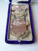 Awarded to F. Perryman for saving the lives of ten boys on Lake Michigan from ice floes February ...