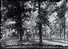 Neg. no. 136 : Green Bay Road School