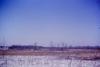 Skokie Highlands Park