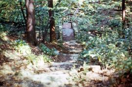 Ravine