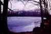 Landscape : frozen lagoon