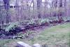 Vegetable patch