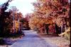 Autumn street
