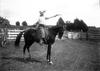 Woman on horse