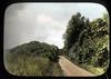Roadway with bird shelters/ Illinois Audobon Society