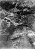 A Bit of rock slope with plant life on trail to Gunsight Pass (Glacier Park, Montana)