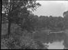 Cattle fording the River : Des Plains River