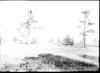 Waukegan flats