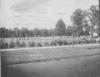 Sports field and participants