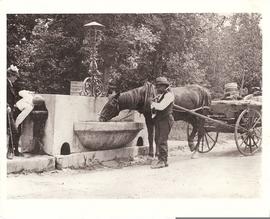 1.2 Yerkes Horse Trough