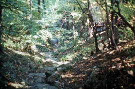 Ravine