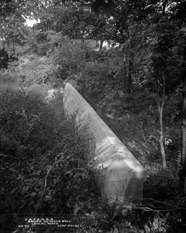 
No. 77 : Ravinia retaining wall looking north
