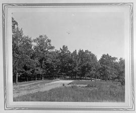 Nancy Hanks Burial Ground