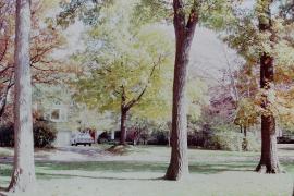 Autumn scene