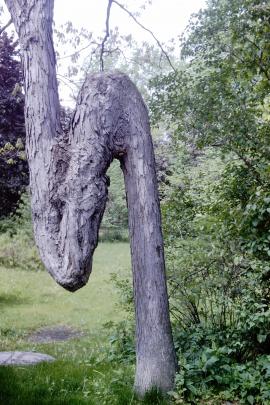 Bent tree
