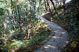 Pathway