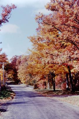Autumn street