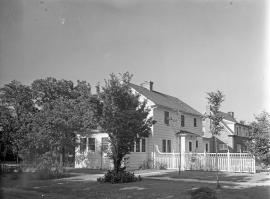 334 Vine; Negative number 152