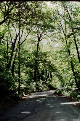 Ravine Drive