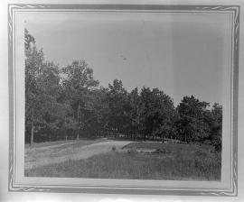 image 31