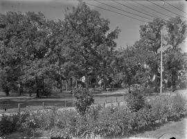 Green Bay Road School : flower garden and lawn