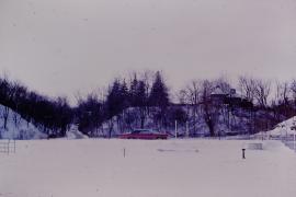 Snow covered park