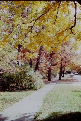 Road and sidewalk