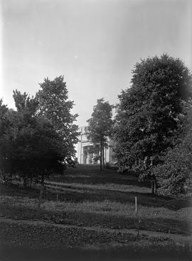 West face of Lincoln Memorial through trees, 5 PM