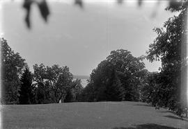 The lawn at Mt. Vernon, looking out towards the Potomac