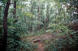 image 01