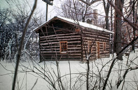 Frances Stupey Cabin