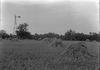 Lincoln : Into the grain field near the site of the Lincoln home in Macon Co., Du Pegran's (?) ho...