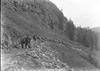 Pack train on way up to Sperry, Send print to John Willcut Belton, Mont.