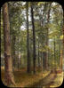 Landscape/ published by the Chicago Transparency Company